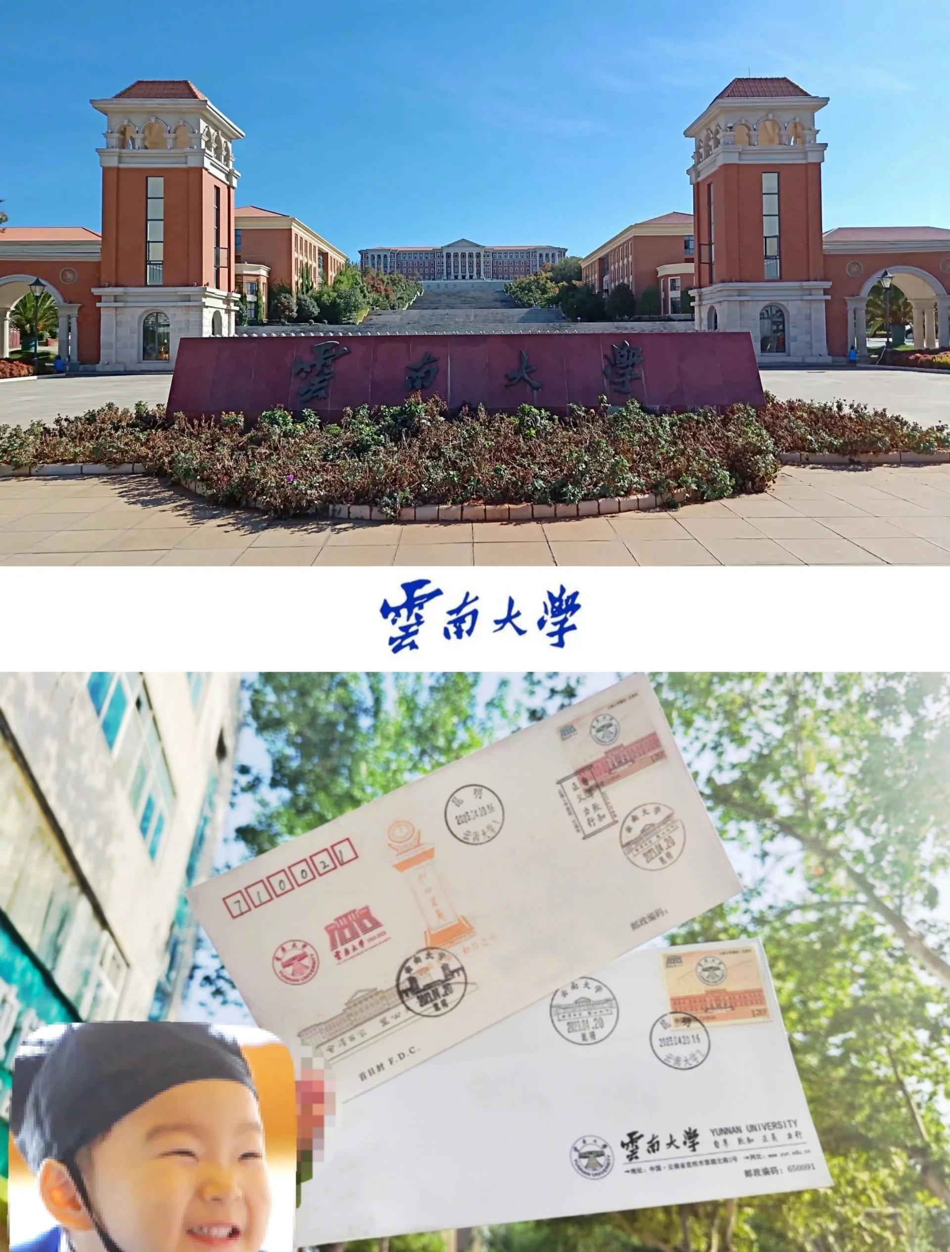 云南大学录取分数线2024