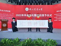 南京农业大学毕业证封面
