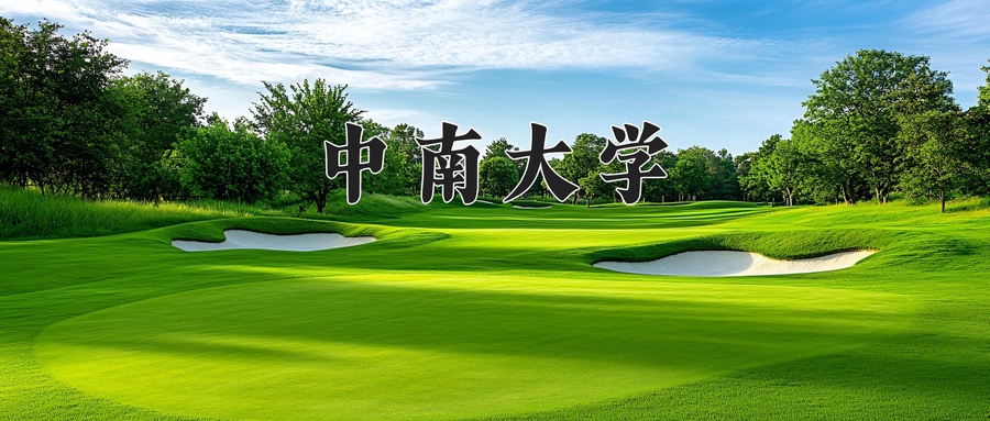 中南大学录取分数线2025