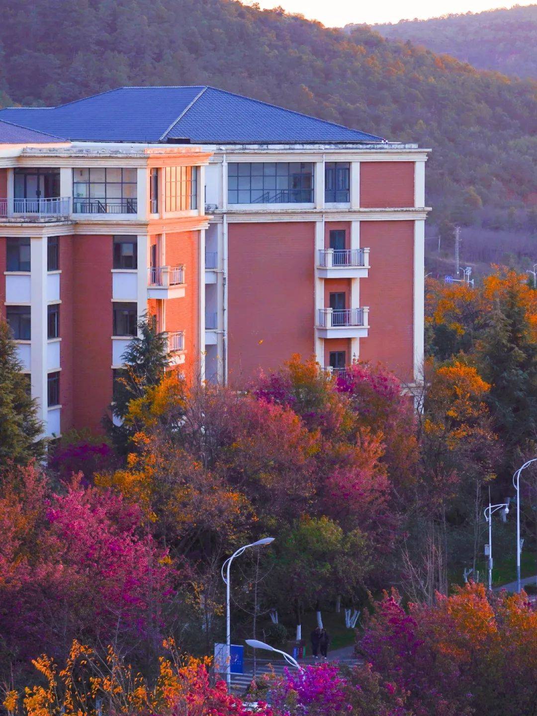 云南大学毕业证发放时间