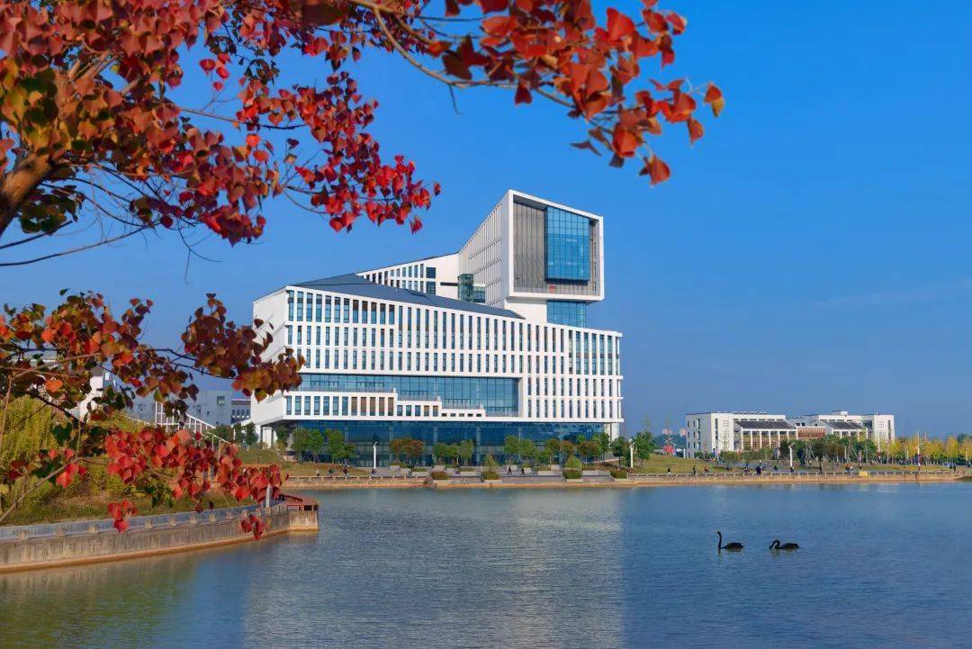 合肥工业大学录取查询