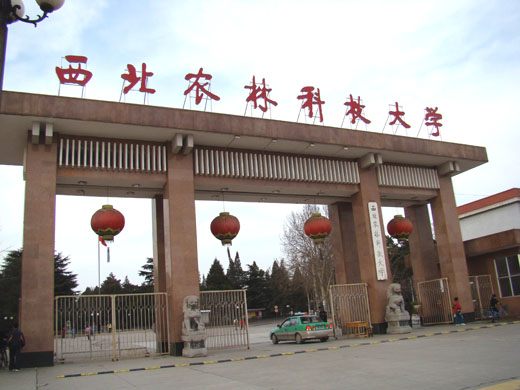 西北农林科技大学毕业证公示最新消息